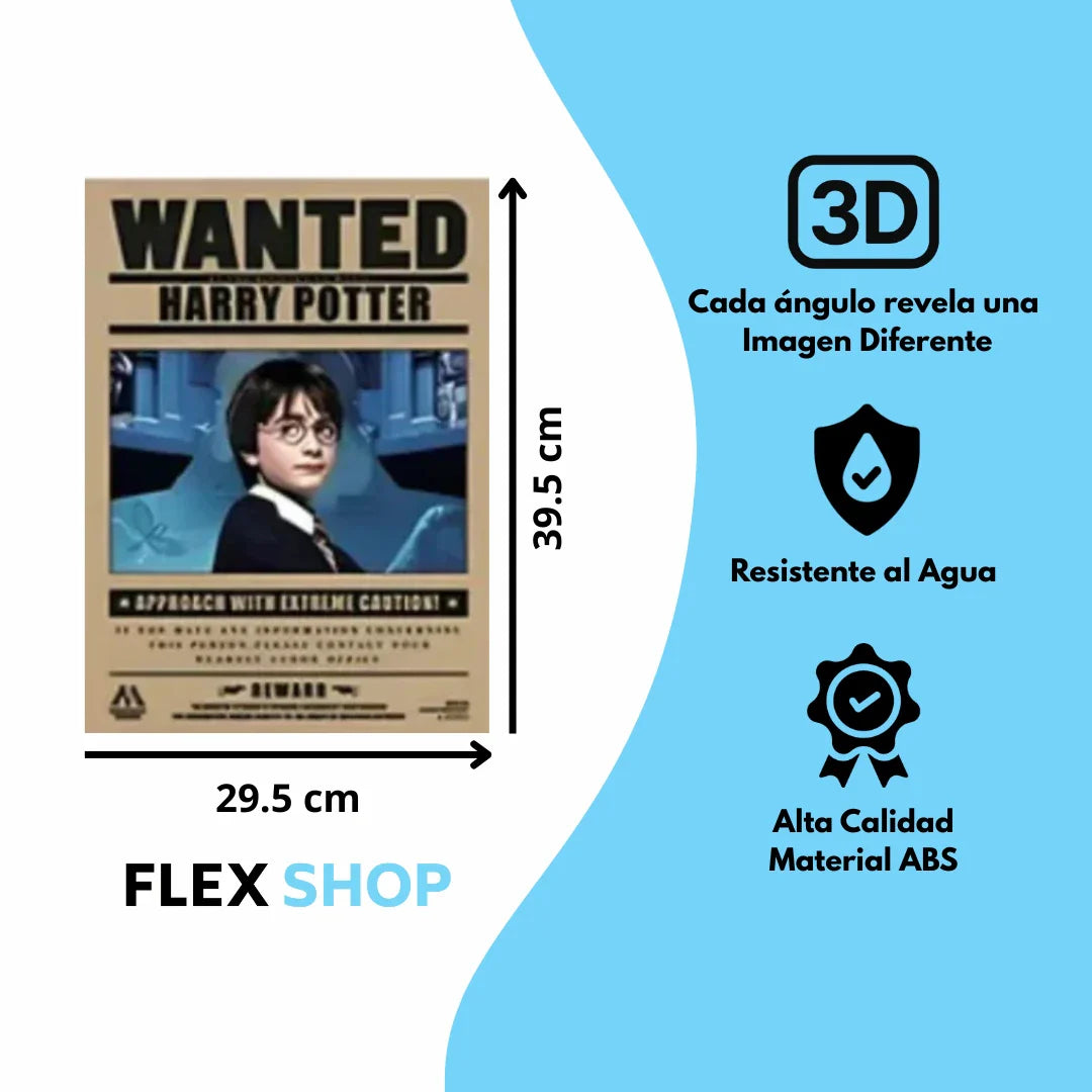 Poster 3D Harry Wizards