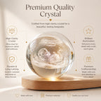 Personalized 3D Ultrasound Lamp – USB LED Night Light