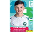 Official FIFA World Cup 2026 Sticker Album & Collectible Sticker Collection