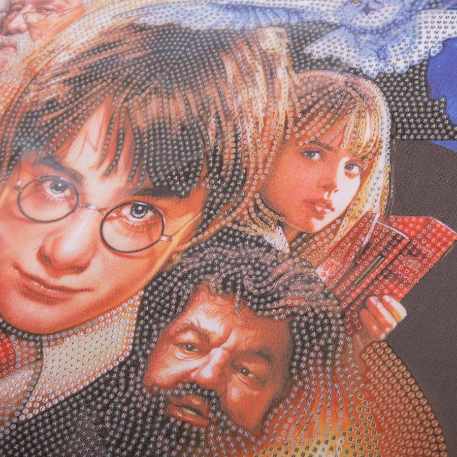 Harry Potter and the Sorcerer’s Stone Diamond Painting ✨