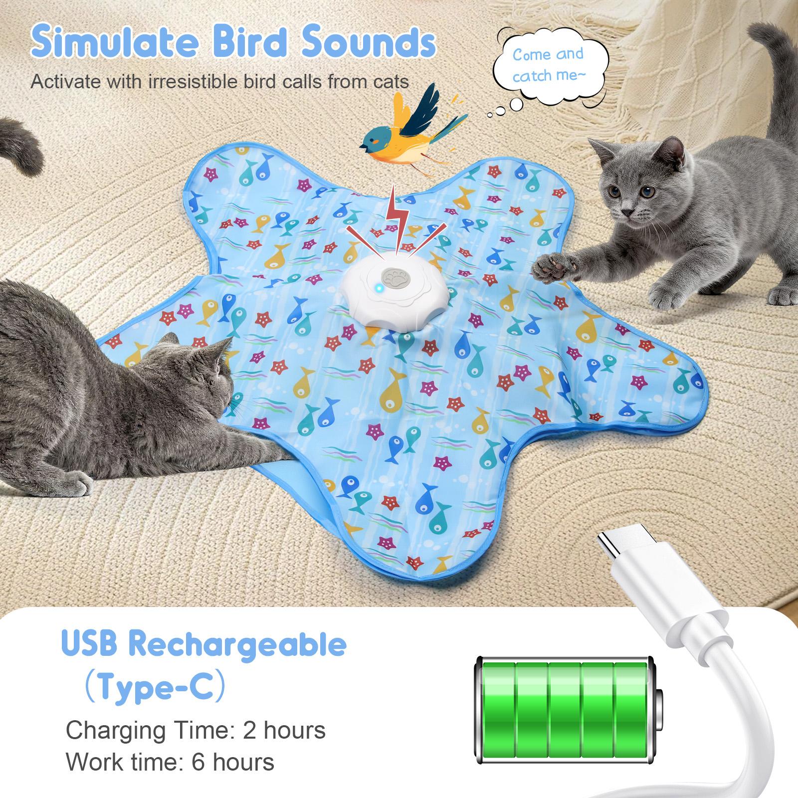 Interactive Star Cat Toy – Chew & Hunting Enrichment Toy