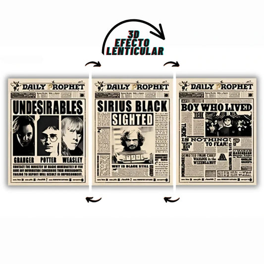 Poster 3D Harry Wizards