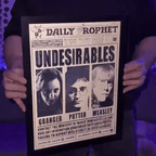 Poster 3D Harry Wizards