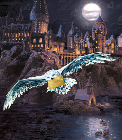 Hogwarts  and Hedwig